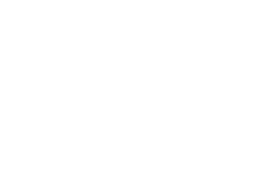 Solis Assist